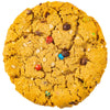 XL T-Rex Cookie